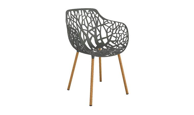 Forest Holz